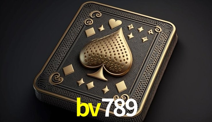 Experiência VIP bv789